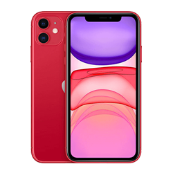 iPhone 11 iCloud Locked